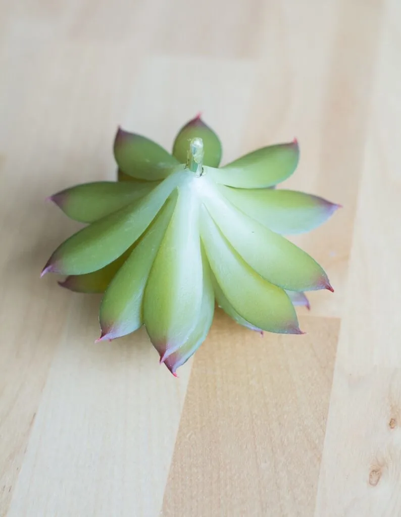bottom of a faux succulent
