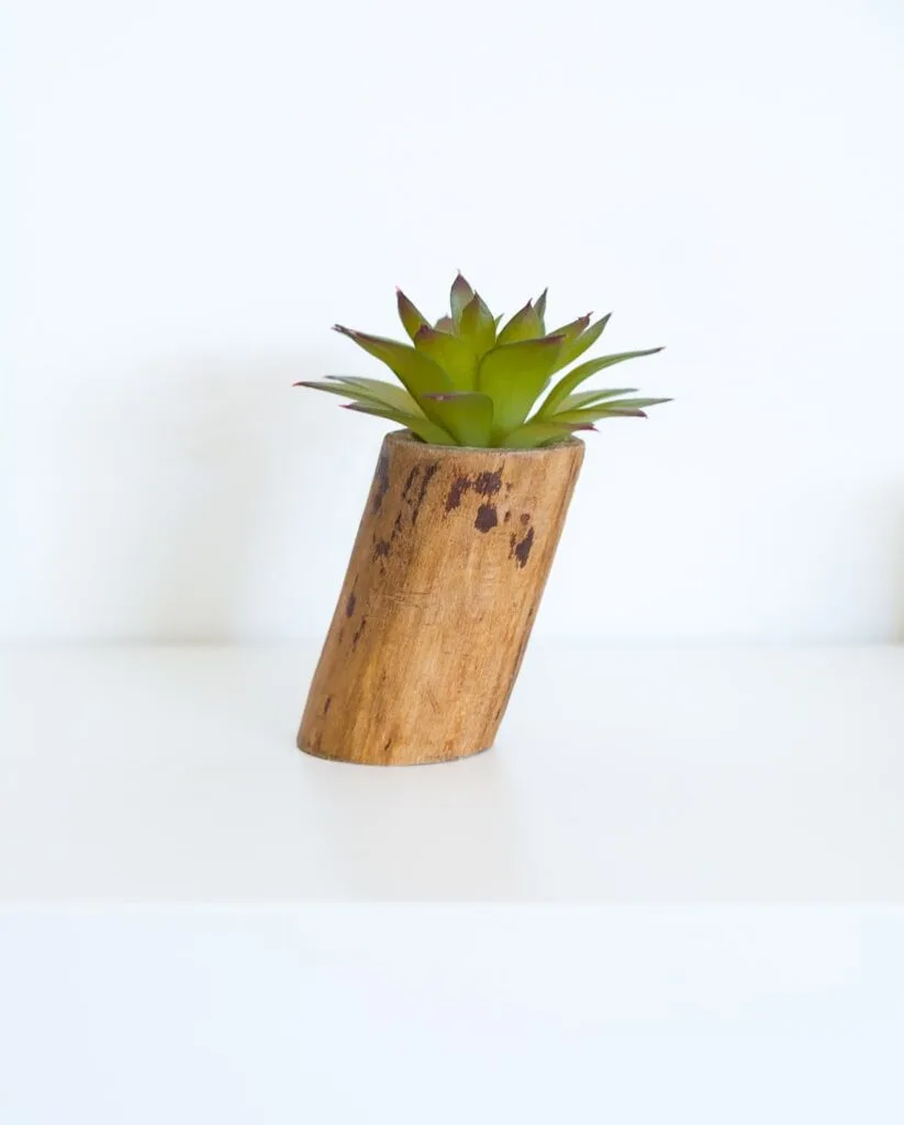 tiny tree branch planter for a faux succulent or air plant