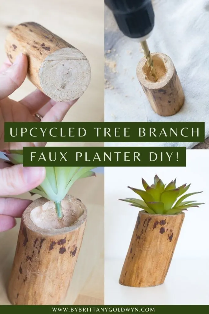 pinnable graphic about upcycling a tree branch to make a faux planter for a fake plant or an air plant