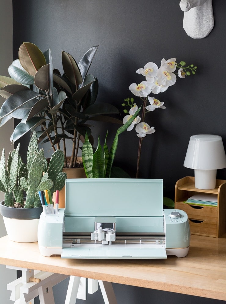 Cricut machine on a table with plants