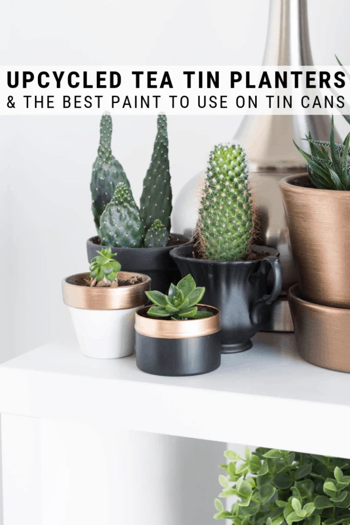 pinnable graphic about how to turn an old tea tin into a planter including text overlay