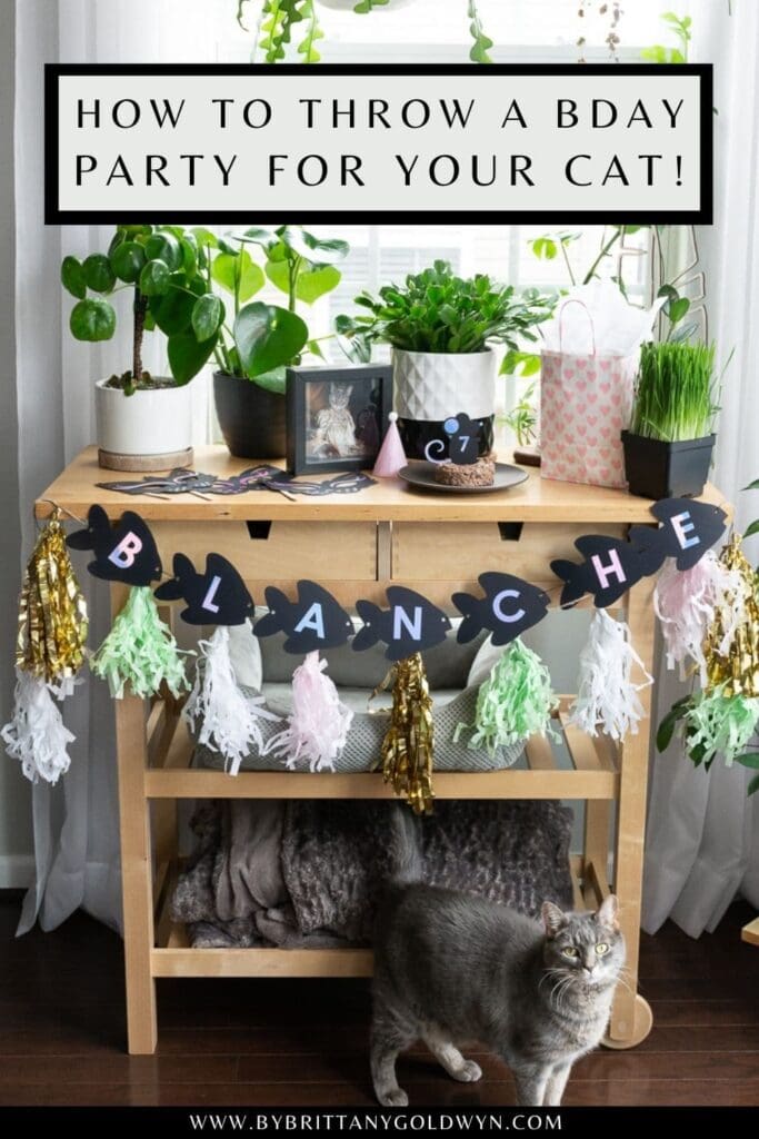 how to throw a birthday party for a cat pinnable graphic with text overlay