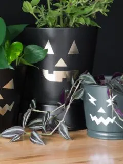 free jack-o-lantern SVG cut files on planter pots