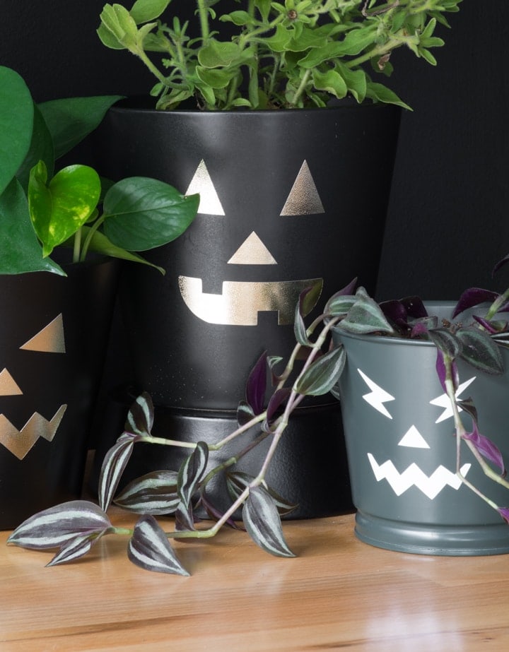 free pumpkin face SVG cut files on planter pots