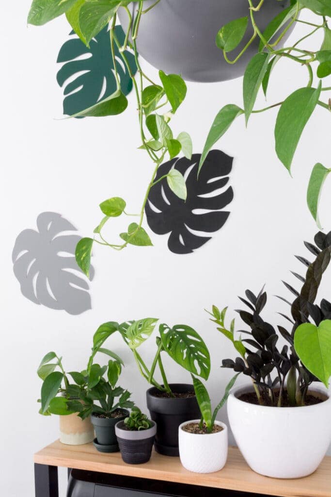 chipboard monstera leaves cut out on a Cricut Maker and stuck up on a wall for decor in a modern workspace