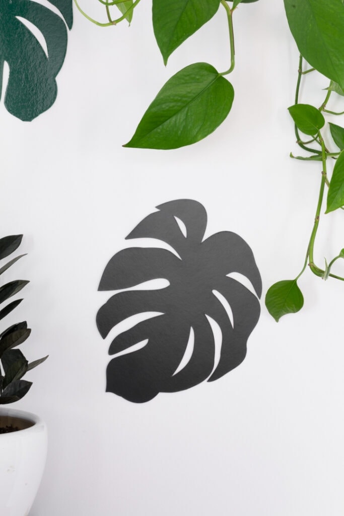 chipboard monstera leaves cut out on a Cricut Maker and stuck up on a wall for decor in a modern workspace