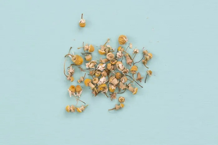 dried chamomile leaves
