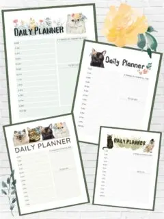graphic about free printable planner pages with time slots including images of planners
