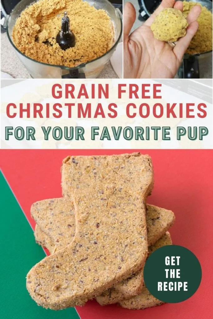 image collage of grain free Christmas cookies for your dog with text Grain Free Christmas Cookies for Your Favorite Pup
