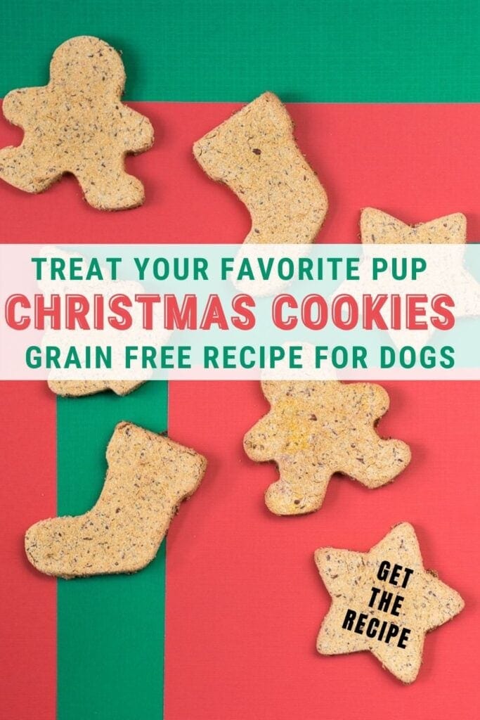 ginger bread men, stockings and star cookies for your dog on green and red background with text Treat Your Favorite Pup Christmas Cookies, Grain Free Recipe