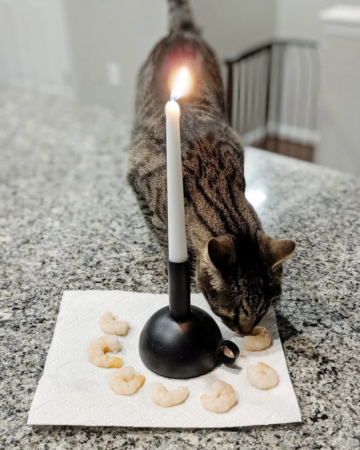 cat eating shrimp from around a candlestick