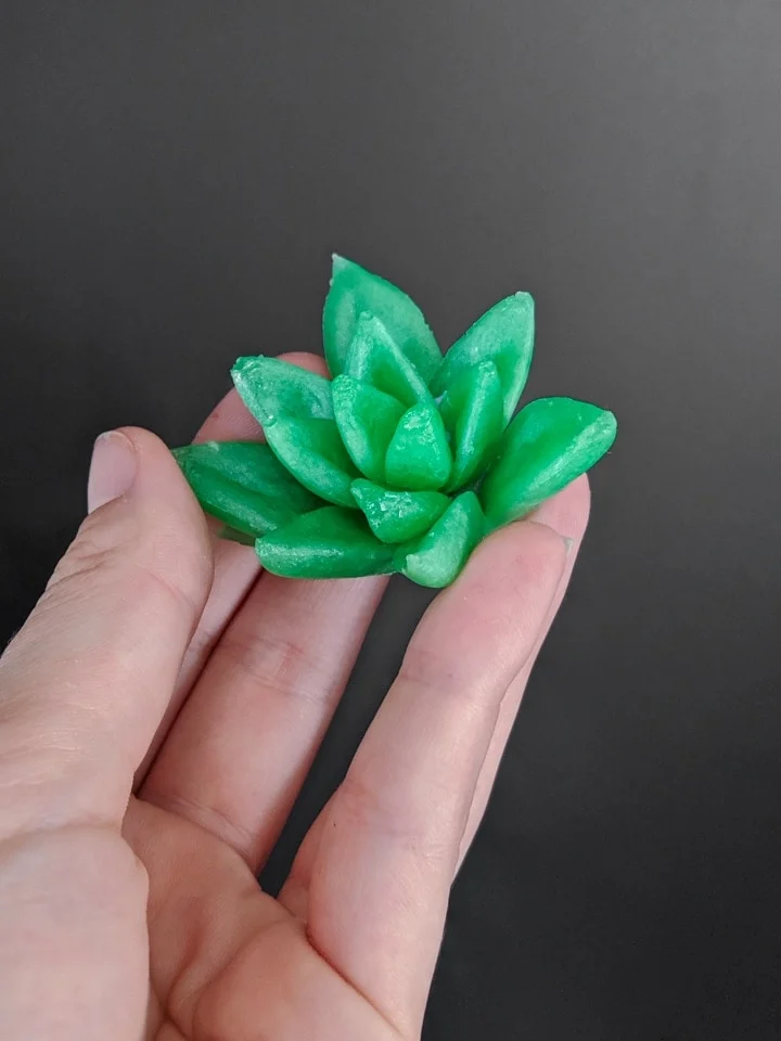 finished resin succulent made using a silicone mold