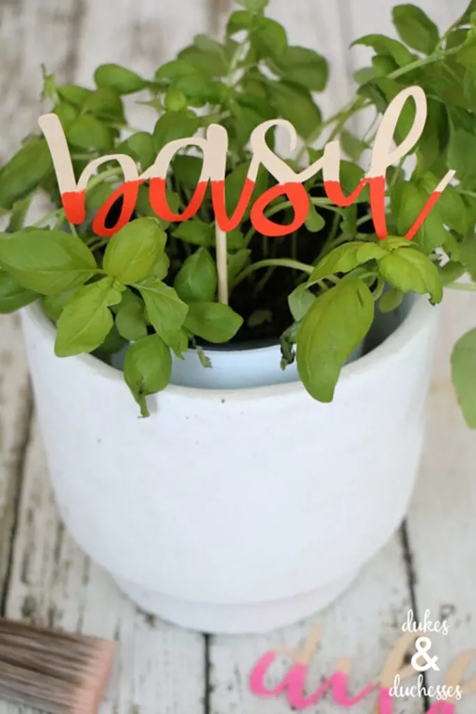 DIY wooden plant makers made using a Cricut maker machine and knife blade
