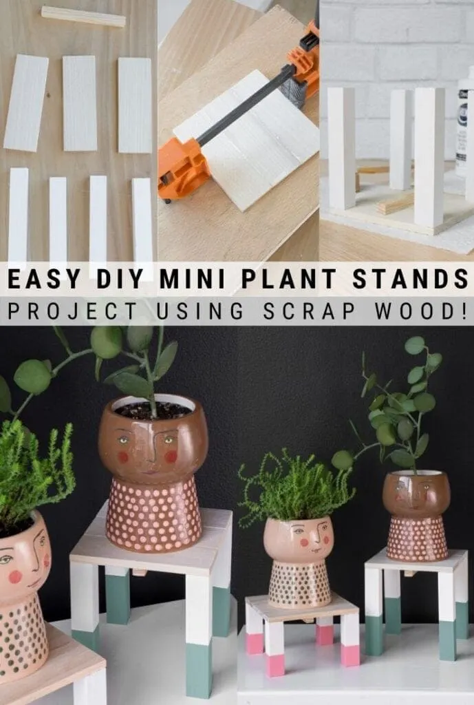 pinnable graphic about how to make painted mini plant stands including photos and text overlay