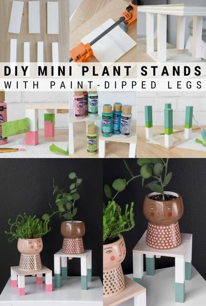 pinnable graphic about how to make painted mini plant stands including photos and text overlay