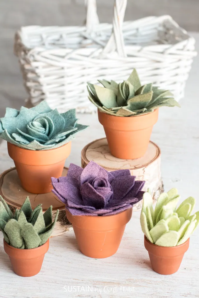 five potted succulents made from felt on a Cricut