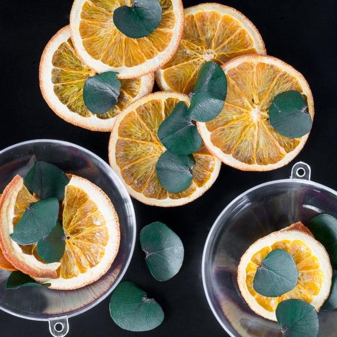 plastic ornament shell and dried orange slices with eucalyptus leaves