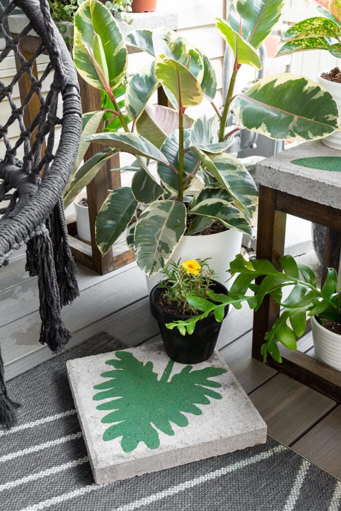 plants on a deck with a painted concrete paver