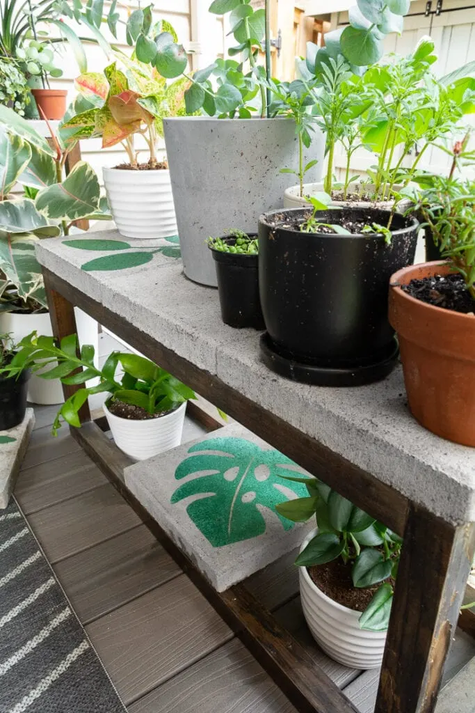 plants on a deck with painted concrete pavers
