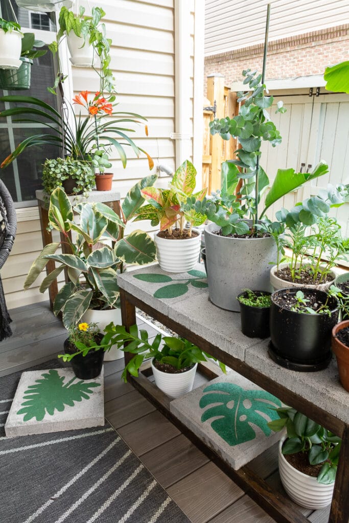 plants on a deck with painted concrete pavers