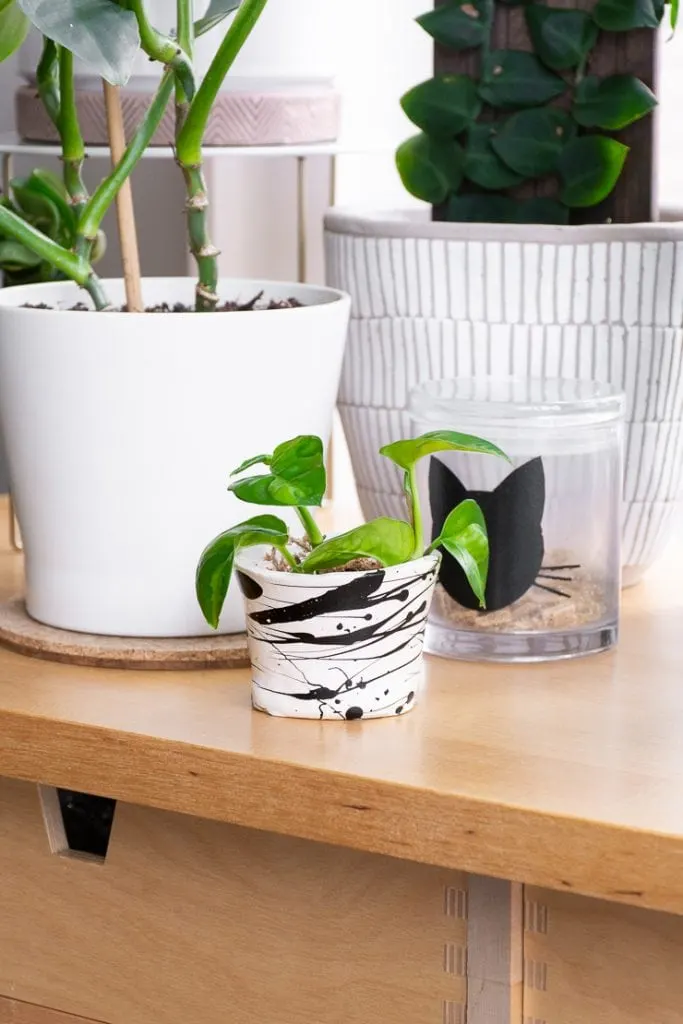 painted air dry clay pot with pothos in it