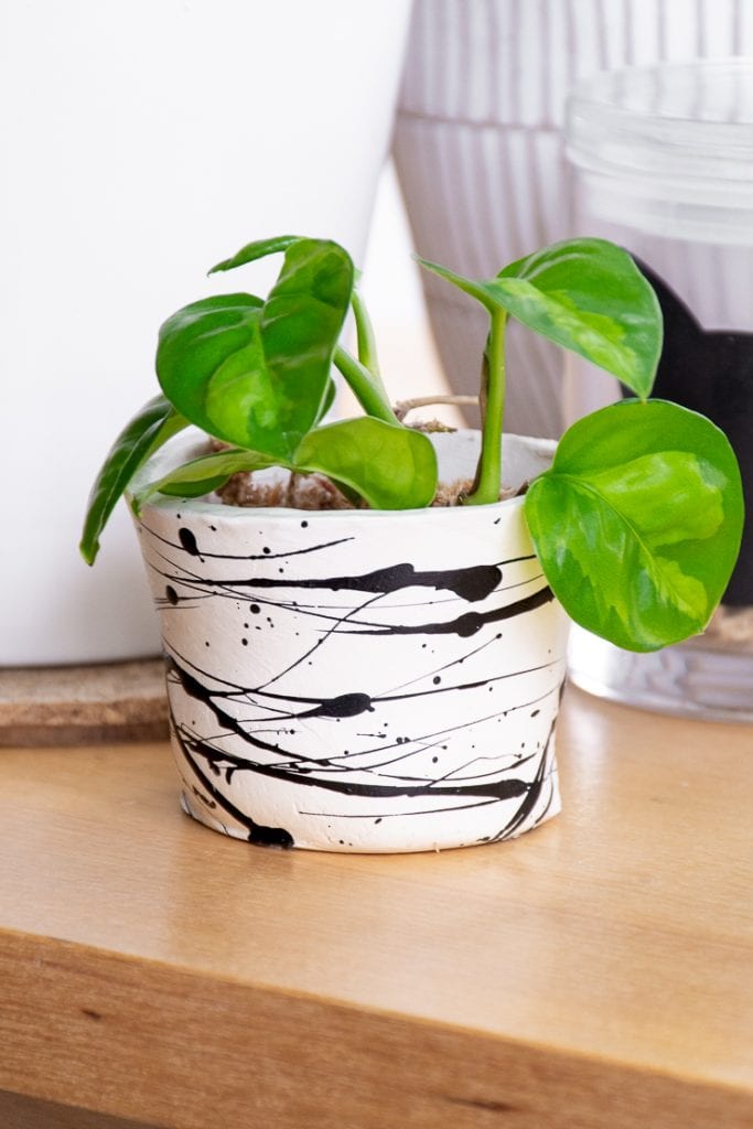 painted air dry clay pot with pothos in it