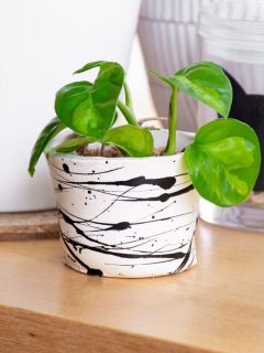 pot made with air dry clay