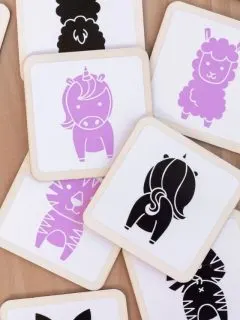image of cards for DIY matching game