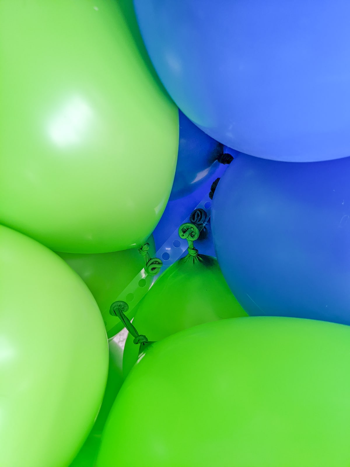 attaching balloons for a DIY balloon arch
