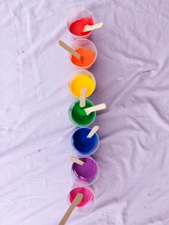 rainbow paint colors in cups