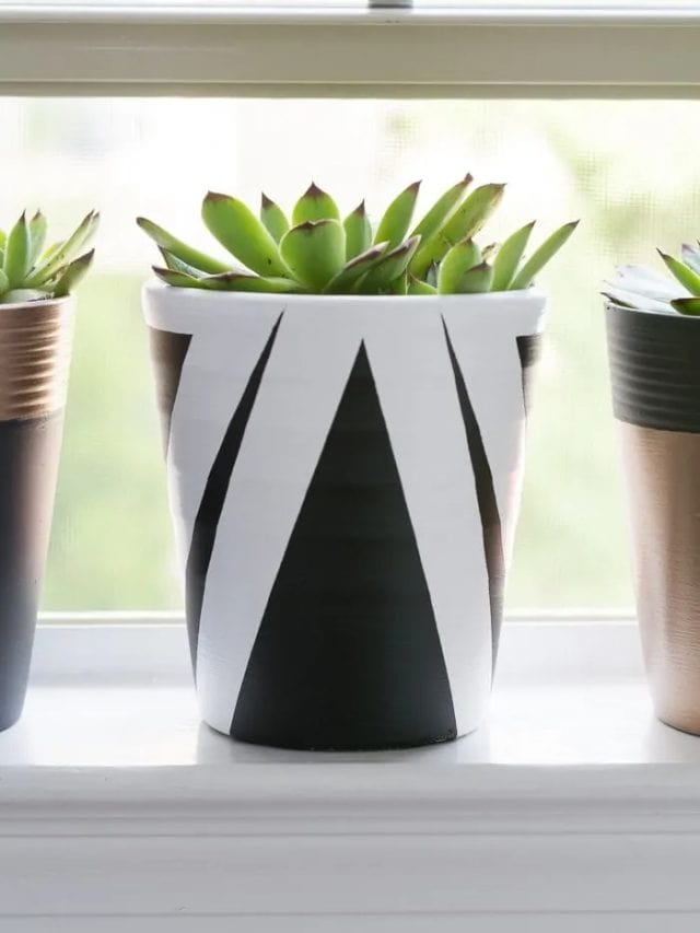 PAINTING CLAY POTS FOR A MODERN LOOK