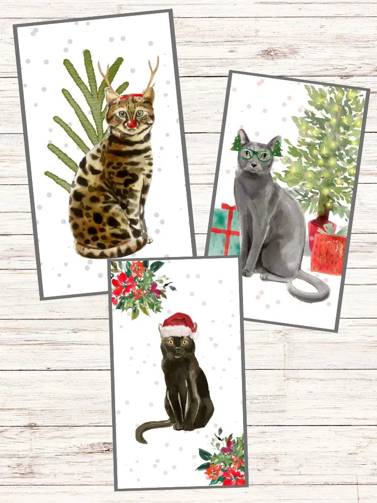 collage of three cute cat Christmas backgrounds for mobile devices