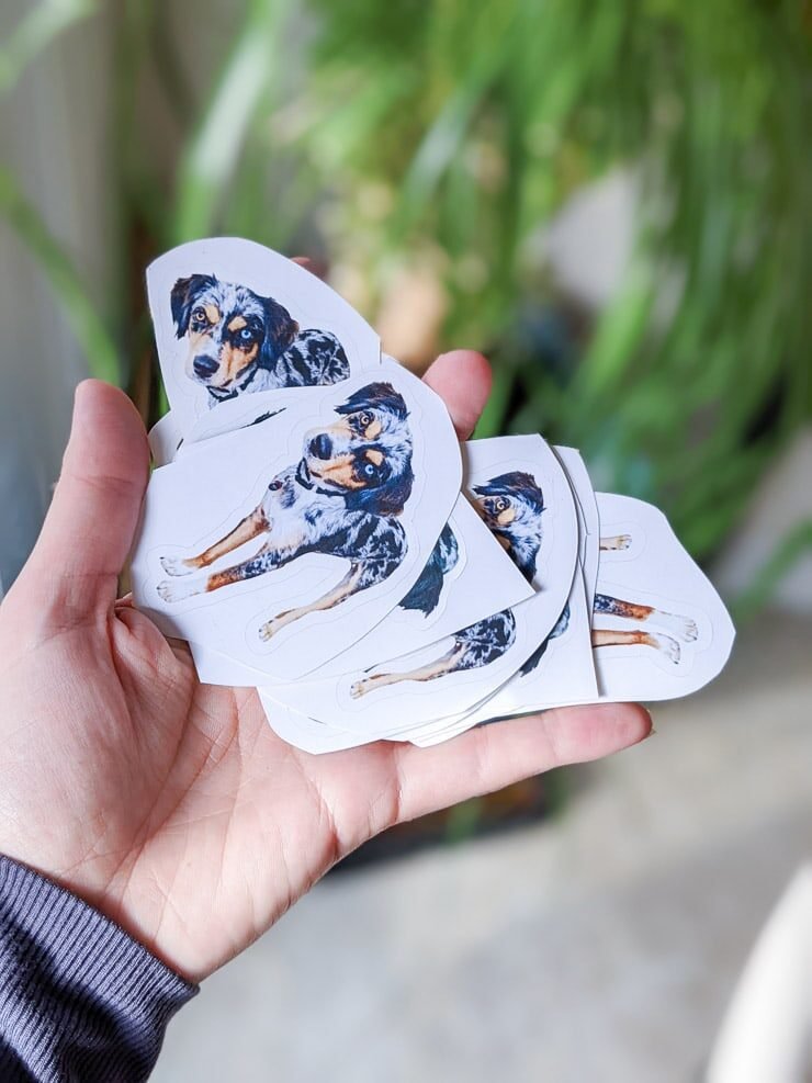 how-to-make-stickers-cricut-22-9692756
